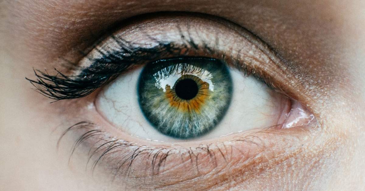 #19 knock knock, look&nbsp;inside